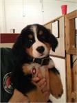 daycare pic 80 - baby newman